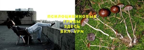 мескалин Алексин