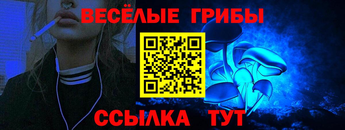купить   Псилоцибиновые грибы Magic Shrooms  Вход с VPN  Ачинск 